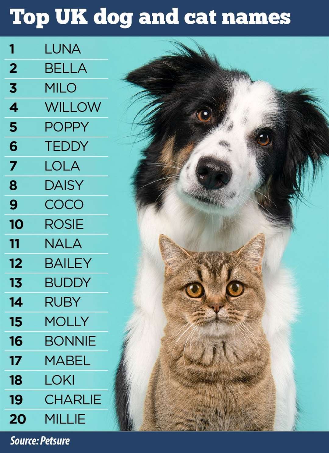 Petsure has picked out the top 20 names of 2024 so far